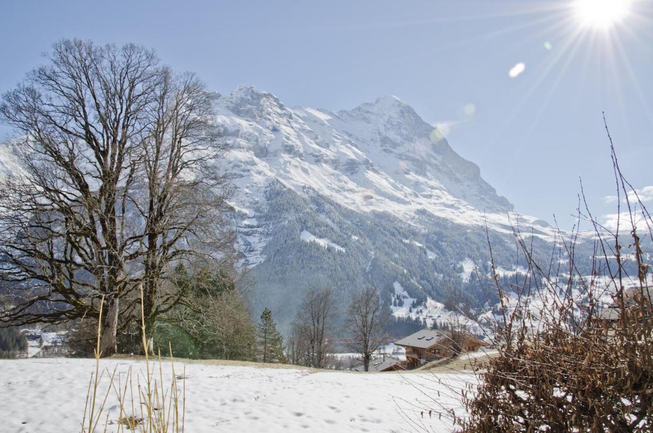 Appartement Nussbaum - Griwarent Ag Grindelwald